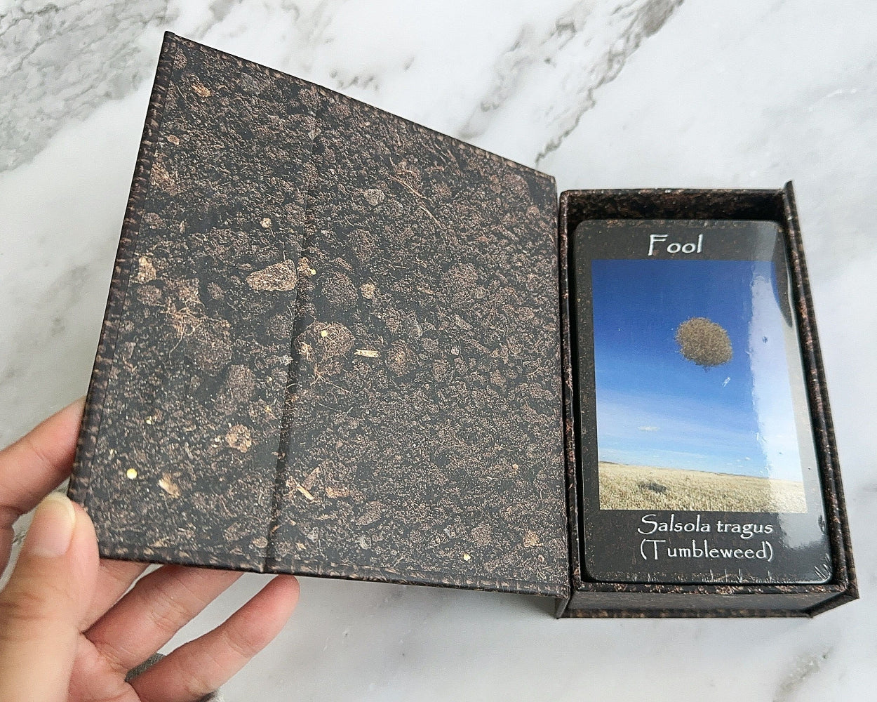 Soil image interior of magnetic flip lid box containing a Plant Tarot deck & guidebook
