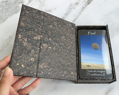 Soil image interior of magnetic flip lid box containing a Plant Tarot deck & guidebook