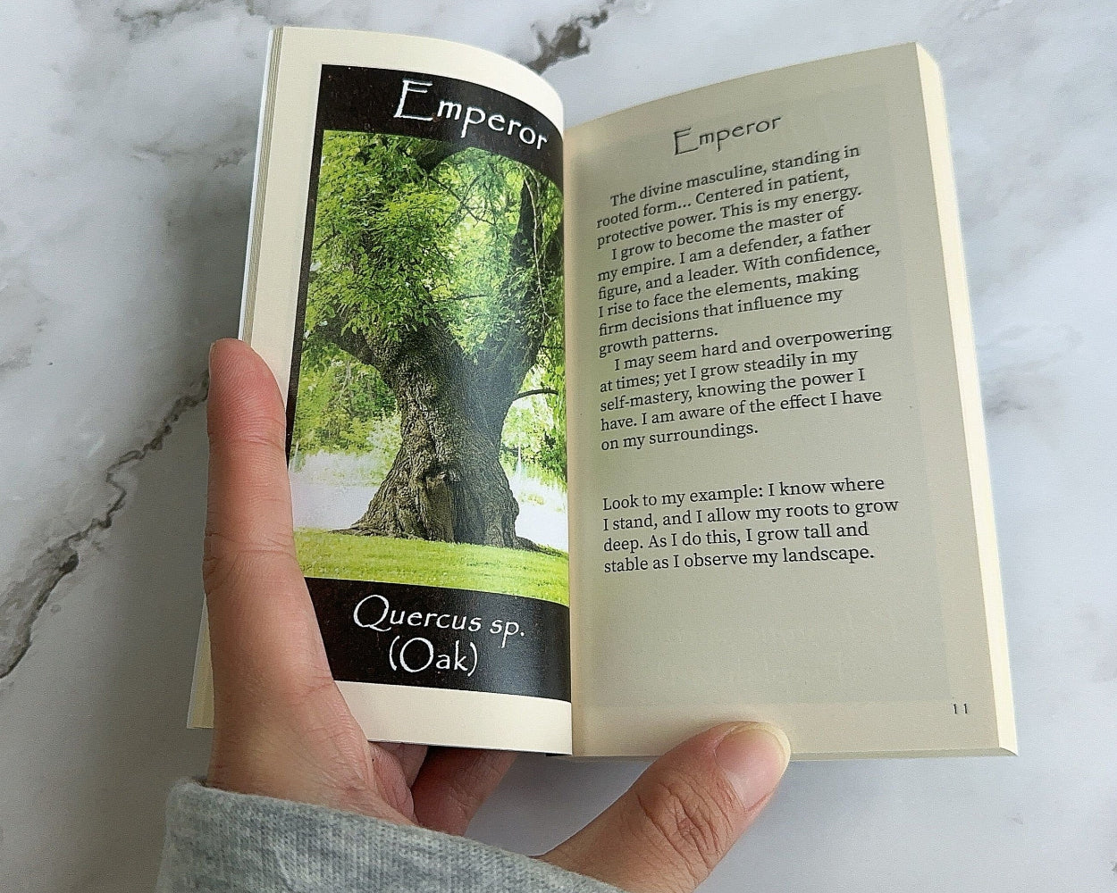 Plant Tarot guidebook open to tarot card image with text.